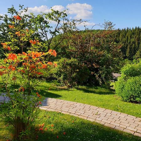 باد لاسفه Apartment Augustenhofblick المظهر الخارجي الصورة