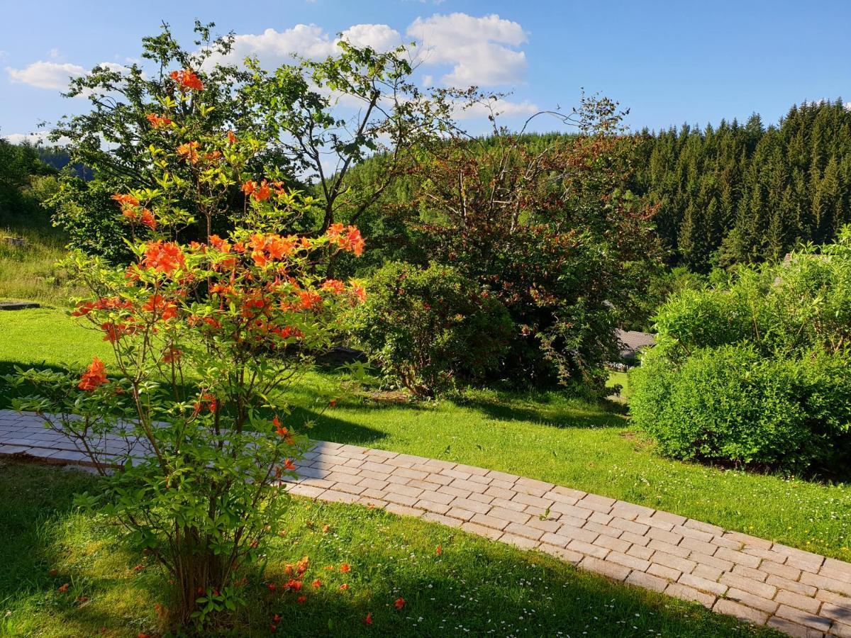 باد لاسفه Apartment Augustenhofblick المظهر الخارجي الصورة